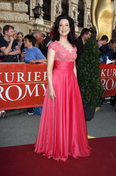 25. Romy Gala 2014, Wien