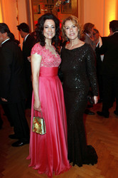 25. Romy Gala 2014, Wien