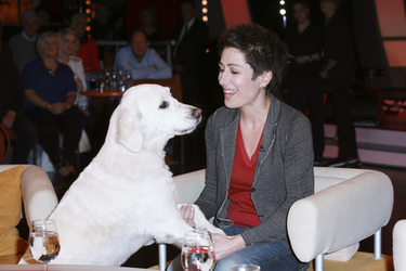 '3nach9' Talkshow, Bremen