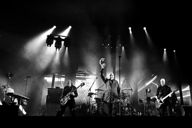 Peter Gabriel Konzert, Köln