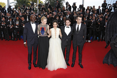 'Drachenzähmen leicht gemacht 2' Premiere, Cannes Film Festival 2014