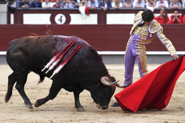 San Isidro Stierkampf Messe, Madrid