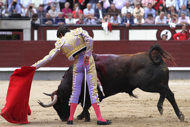 San Isidro Stierkampf Messe, Madrid