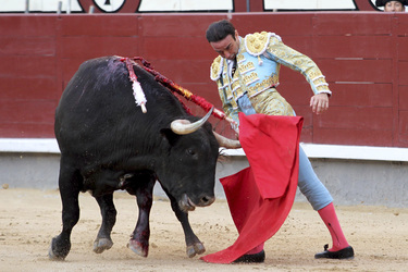 San Isidro Stierkampf Messe, Madrid