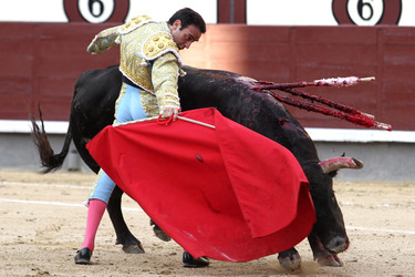 San Isidro Stierkampf Messe, Madrid