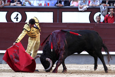 San Isidro Stierkampf Messe, Madrid