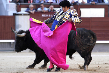 San Isidro Stierkampf Messe, Madrid