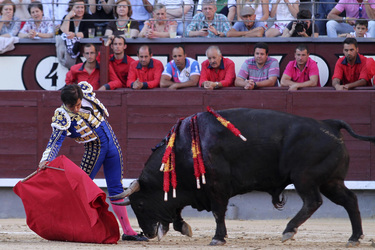 San Isidro Stierkampf Messe, Madrid