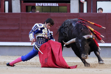 San Isidro Stierkampf Messe, Madrid