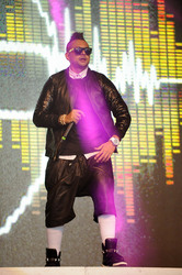 Sean Paul Konzert, Hamburg