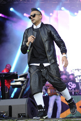 Sean Paul Konzert, Hamburg