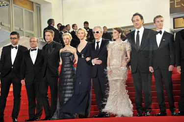 'Maps to the Stars' Premiere, Cannes Film Festival 2014