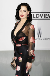 The amfAR Gala 2014, Cannes Film Festival 2014