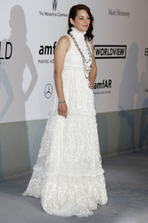 The amfAR Gala 2014, Cannes Film Festival 2014