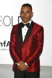 The amfAR Gala 2014, Cannes Film Festival 2014