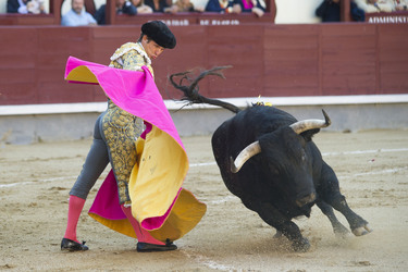 San Isidro Stierkampf Messe, Madrid