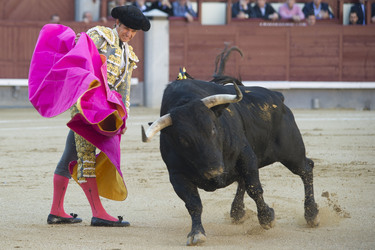 San Isidro Stierkampf Messe, Madrid