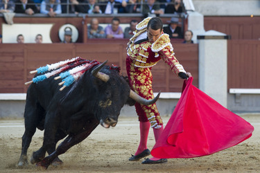 San Isidro Stierkampf Messe, Madrid