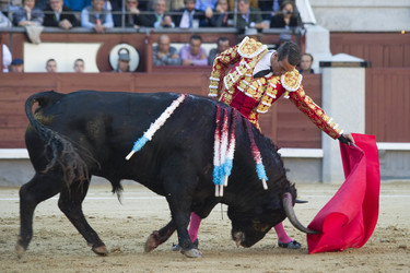 San Isidro Stierkampf Messe, Madrid