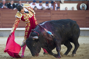 San Isidro Stierkampf Messe, Madrid