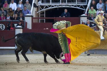 San Isidro Stierkampf Messe, Madrid
