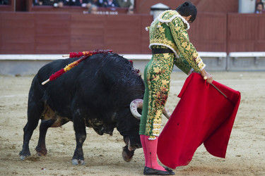 San Isidro Stierkampf Messe, Madrid