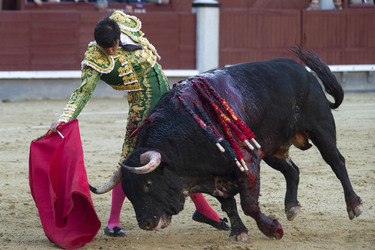 San Isidro Stierkampf Messe, Madrid