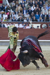 San Isidro Stierkampf Messe, Madrid