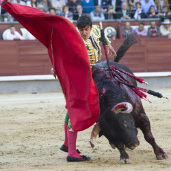 San Isidro Stierkampf Messe, Madrid