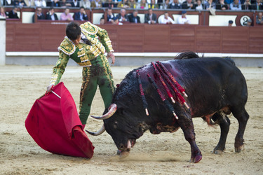 San Isidro Stierkampf Messe, Madrid