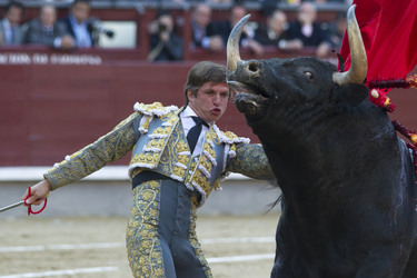 San Isidro Stierkampf Messe, Madrid