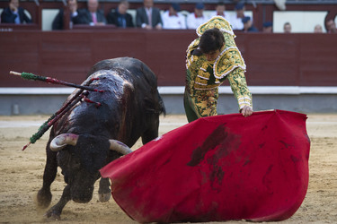 San Isidro Stierkampf Messe, Madrid