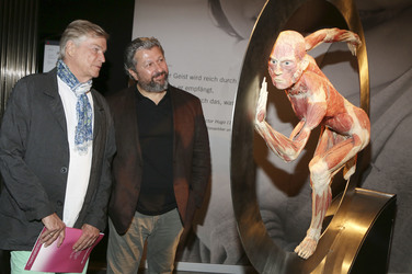 Körperwelten Ausstellung, Hamburg
