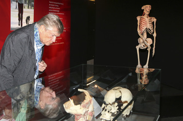 Körperwelten Ausstellung, Hamburg