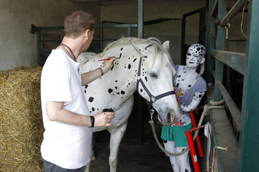 Dalmatiner / Dalmatian Bodypainting