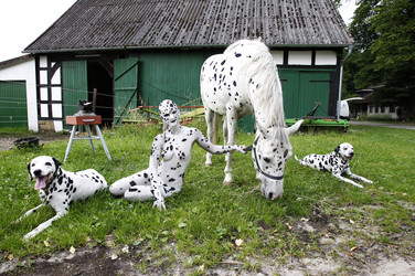 Dalmatiner / Dalmatian Bodypainting