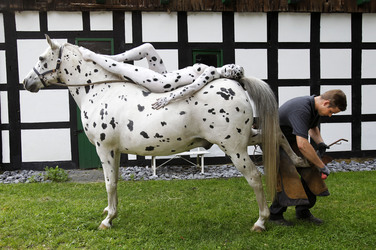 Hufschmied / Farrier Bodypainting