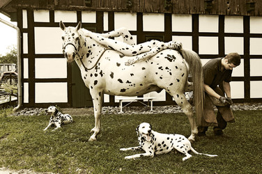 Hufschmied / Farrier Bodypainting