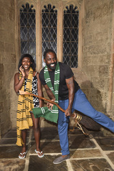'Harry Potter Summer Screenings Preview Evening', Watford