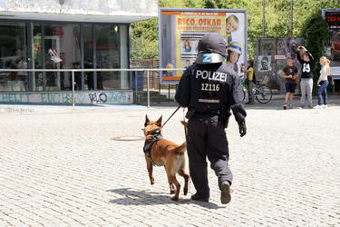 Refugee Schul- und Unistreik, Berlin