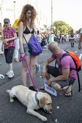 Gay Pride Parade, Madrid