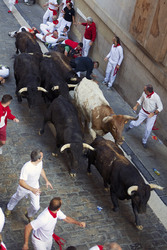 San Fermin Festival, Pamplona