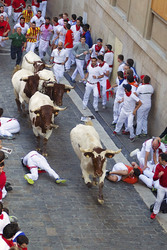 San Fermin Festival, Pamplona