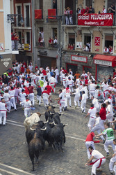 San Fermin Festival, Pamplona