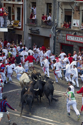 San Fermin Festival, Pamplona