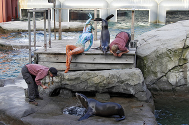 Tierpfleger / Zookeeper Bodypainting