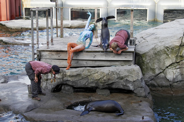 Tierpfleger / Zookeeper Bodypainting