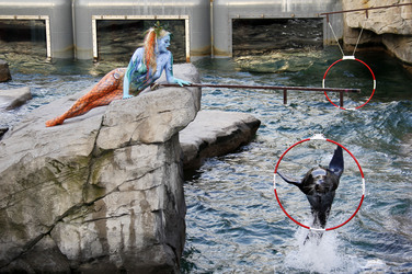 Tierpfleger / Zookeeper Bodypainting