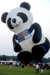Quick Chek New Jersey Festival Of Ballooning