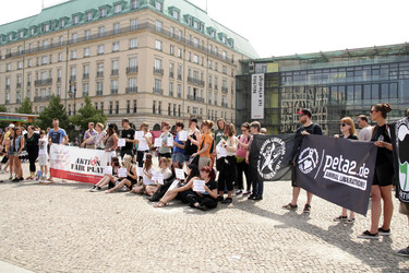 Protest für die Abschaffung der Pferdekutschen in Berlin